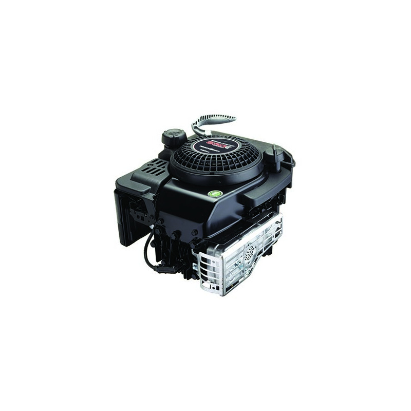 MOTORE BRIGGS & STRATTON QUANTUM POWER SERIE 675 25X60