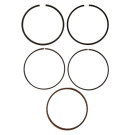 ASS. SEGMENTI RV170-S