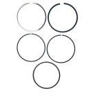 ASS. SEGMENTI R210-RV225