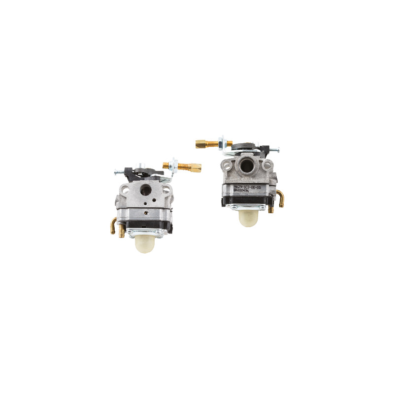 CARBURATORE PER TAGLIASIEPE