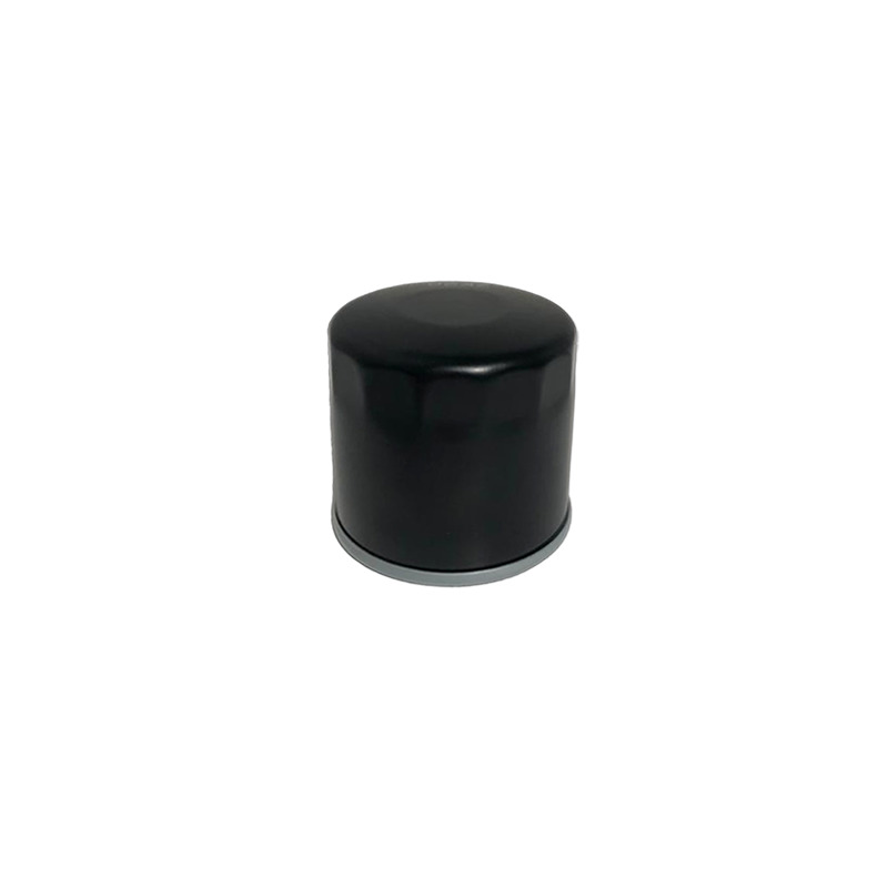 FILTRO OLIO 150350046-0002 - 118551566/0 -194520  LONCIN LC2P82F
