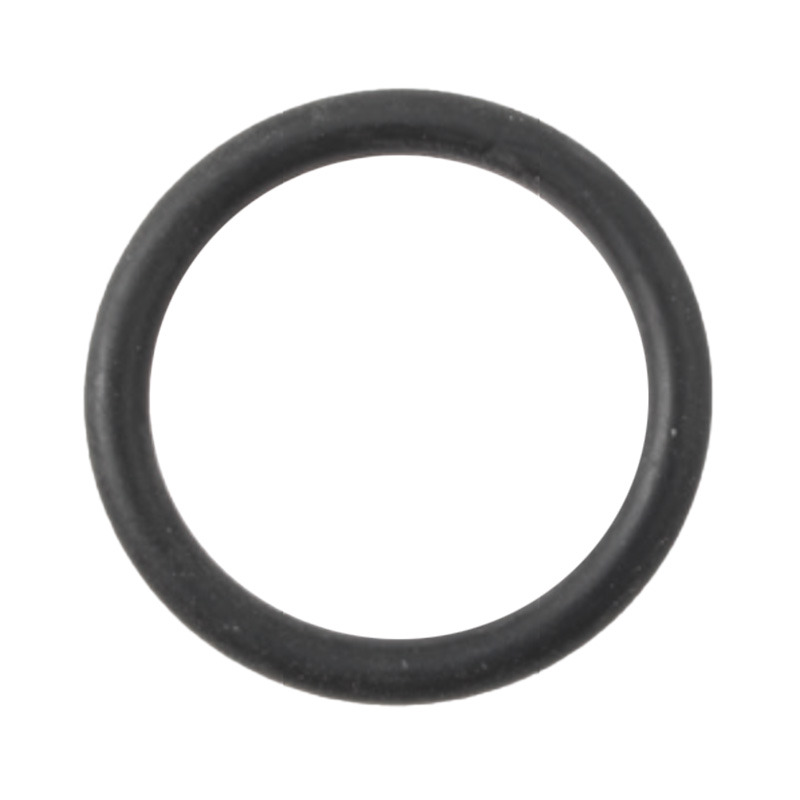 ANELLO DI TENUTA BRIGGS & STRATTON