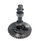 ALBERO A CAMMES RV225