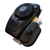MOTORE ASSEMBLATO SERVICE TRE224 224CC
