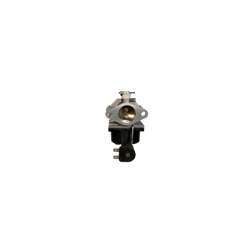 CARBURATORE TECUMSEH 640330A