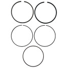 KIT FASCE ELASTICHE LONCIN