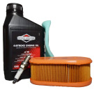 GUARNIZIONE VASCHETTA BRIGGS & STRATTON                  