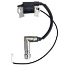 BOBINA ACCENSIONE LONCIN 1P90 1P92  270920251-0001 118550209/0