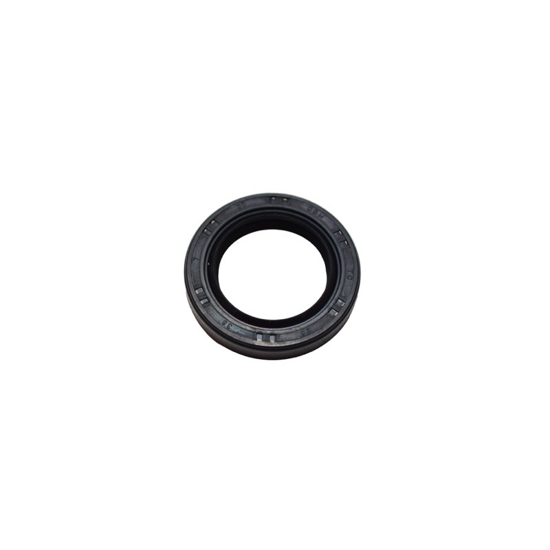 OIL ALLERT LONCIN LC2V80FD