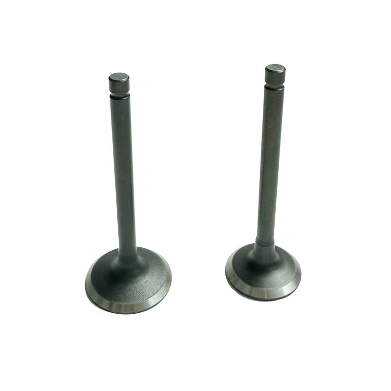 KIT VALVOLE LONCIN G420F