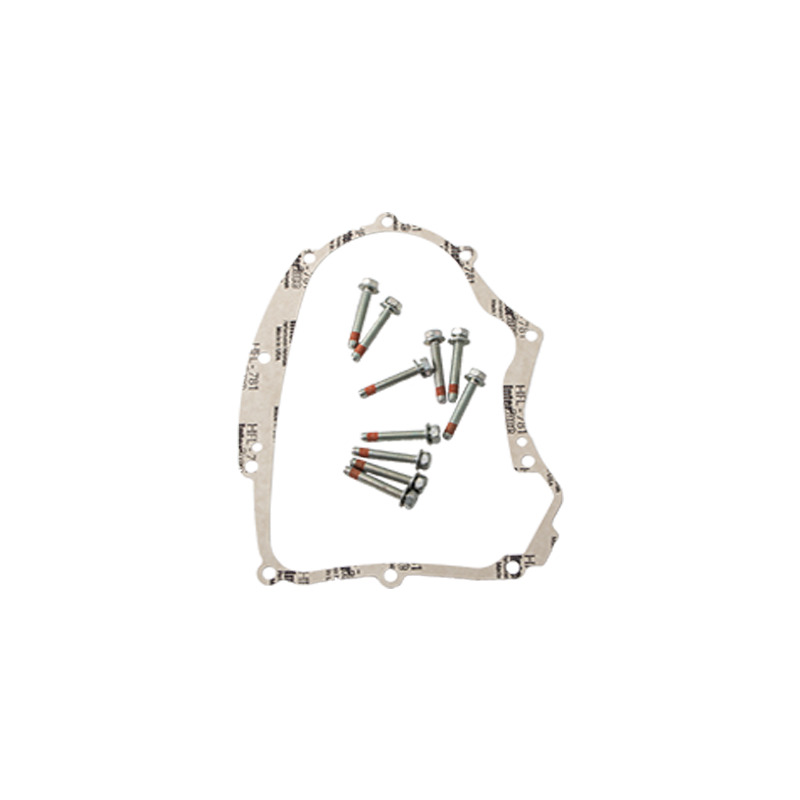 GUARNIZIONE BASE BRIGGS & STRATTON