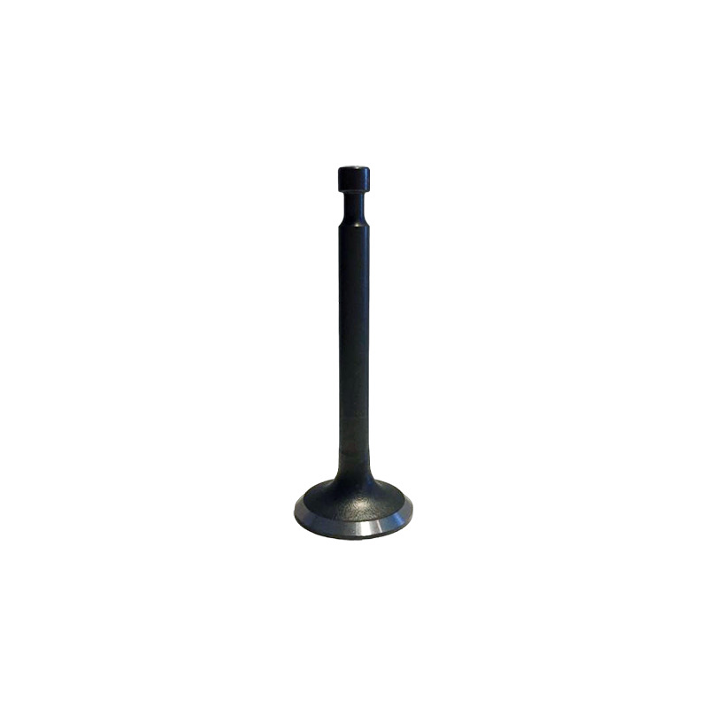 KIT VALVOLE LONCIN H135