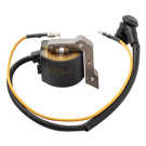 BOBINA EMAK 098000091AR