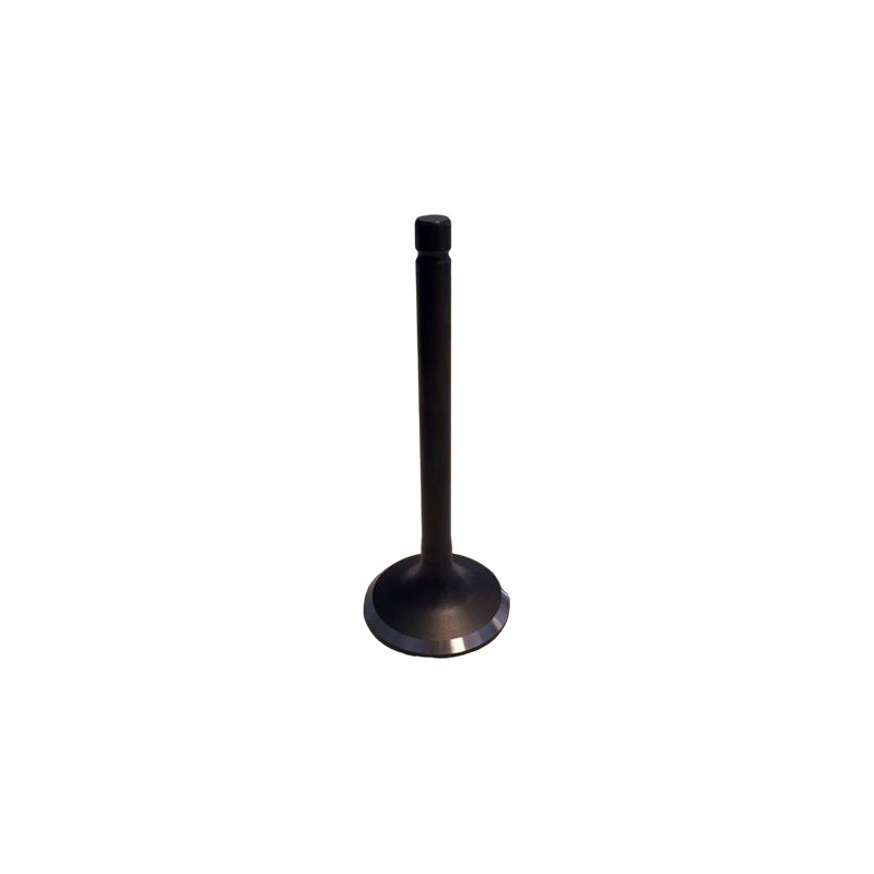 KIT VALVOLE LONCIN LC1P92F-1