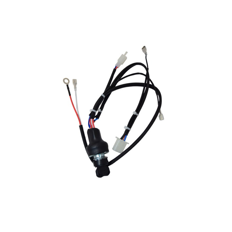 QUADRO CHIAVE LONCIN LC2V80FD