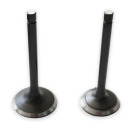 KIT VALVOLE LONCIN G420F