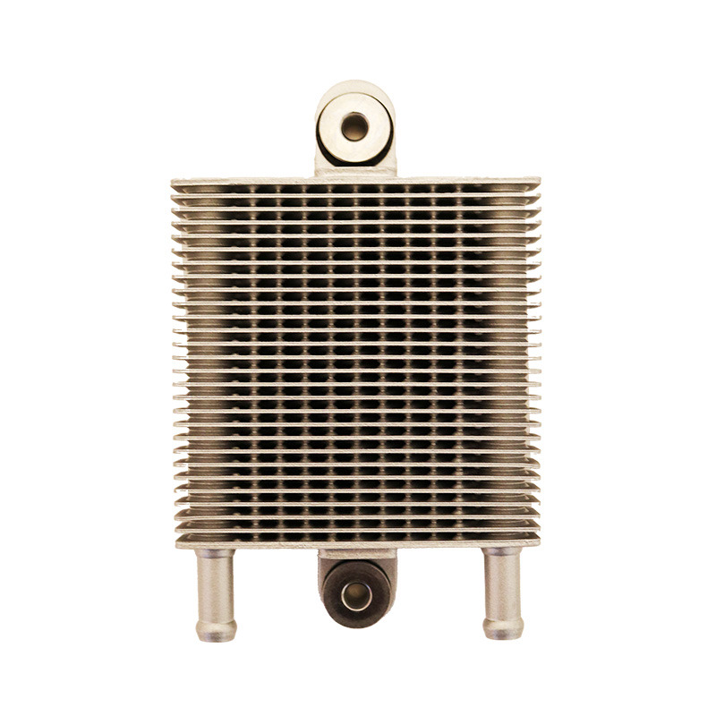 RADIATORE OLIO LONCIN LC2V80FD