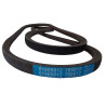 CINGHIA REPL. 01005012P