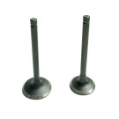 KIT VALVOLE LONCIN LC2V80FD