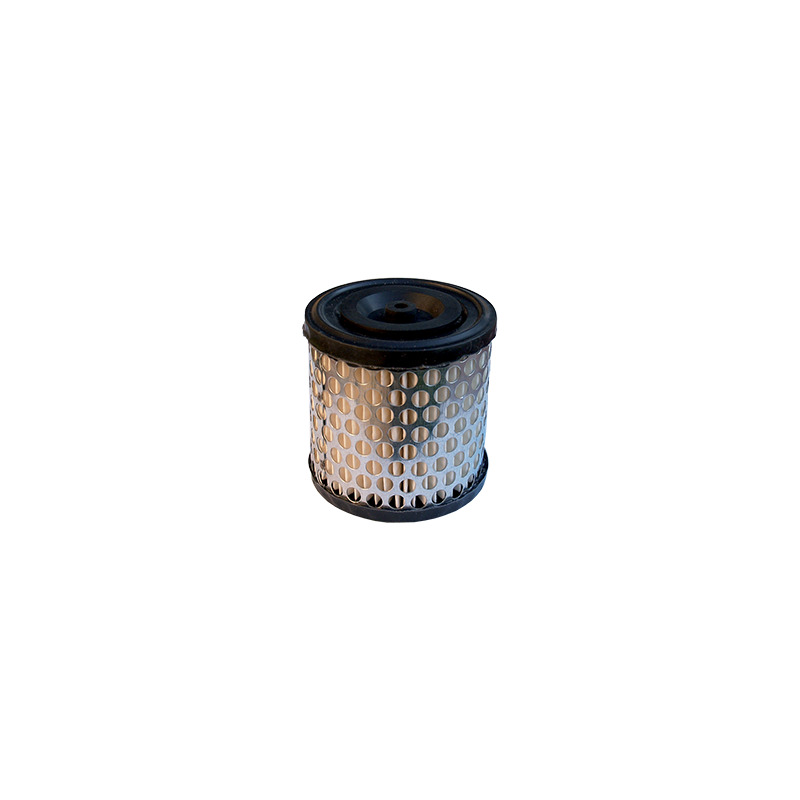 FILTRO ARIA X SERIE DA 130200 A 131900 - DA 2 A 5 HP