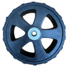 COPRICINGHIA  GK46