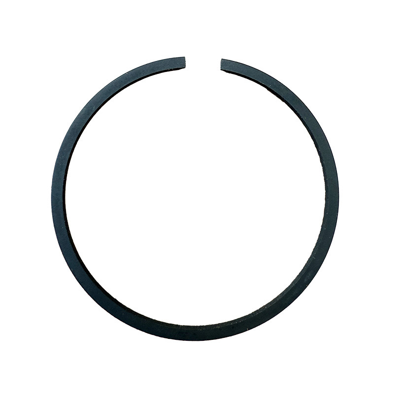 FASCIA ELASTICA