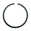 FASCIA ELASTICA