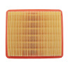ELEMENTO FILTRO ARIA LONCIN LC1P65FE-2 LONCIN V200  194040 - 491588