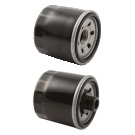 FILTRO OLIO LONCIN 150350023-T390