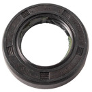 PARAOLIO STIGA-GGP 380650347-0001  2009