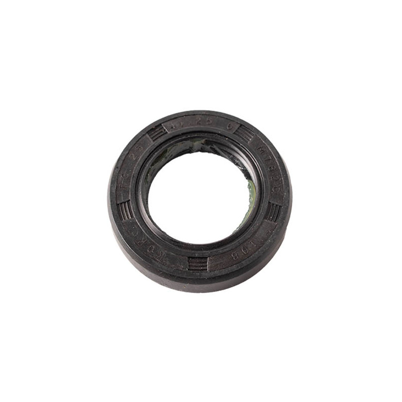 PARAOLIO STIGA-GGP 380650347-0001  2009