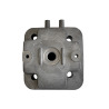 CILINDRO-MOTORE KAWASAKI 11005-2166 PER TJ053E