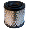 FILTRO ARIA LONCIN 1P75F