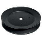 PULEGGIA X ALBERO  AYP 129861