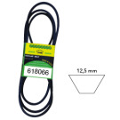 CINGHIA REPL 1668066SM HA 120.10