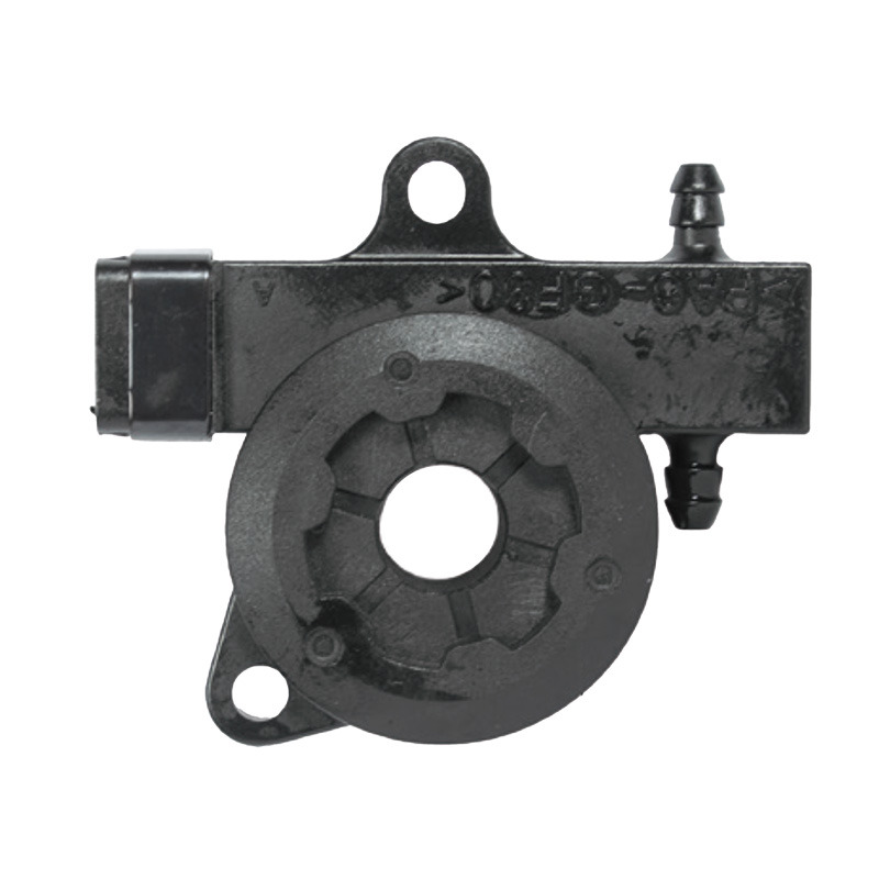 WORM - VITE SENZA FINE