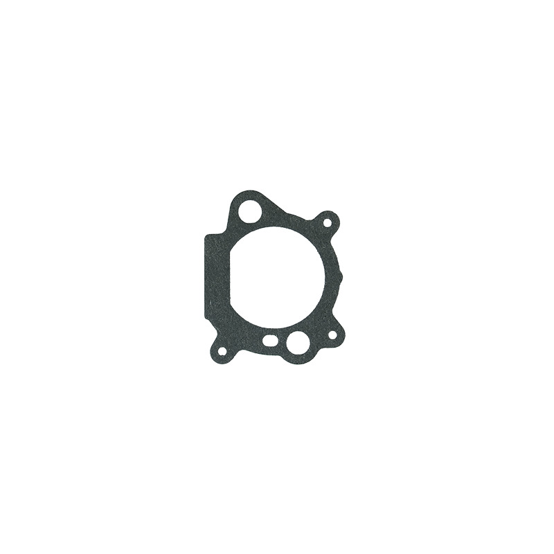 GUARNIZIONE ASPIRAZIONE BRIGGS & STRATTON (004156 5PZ)