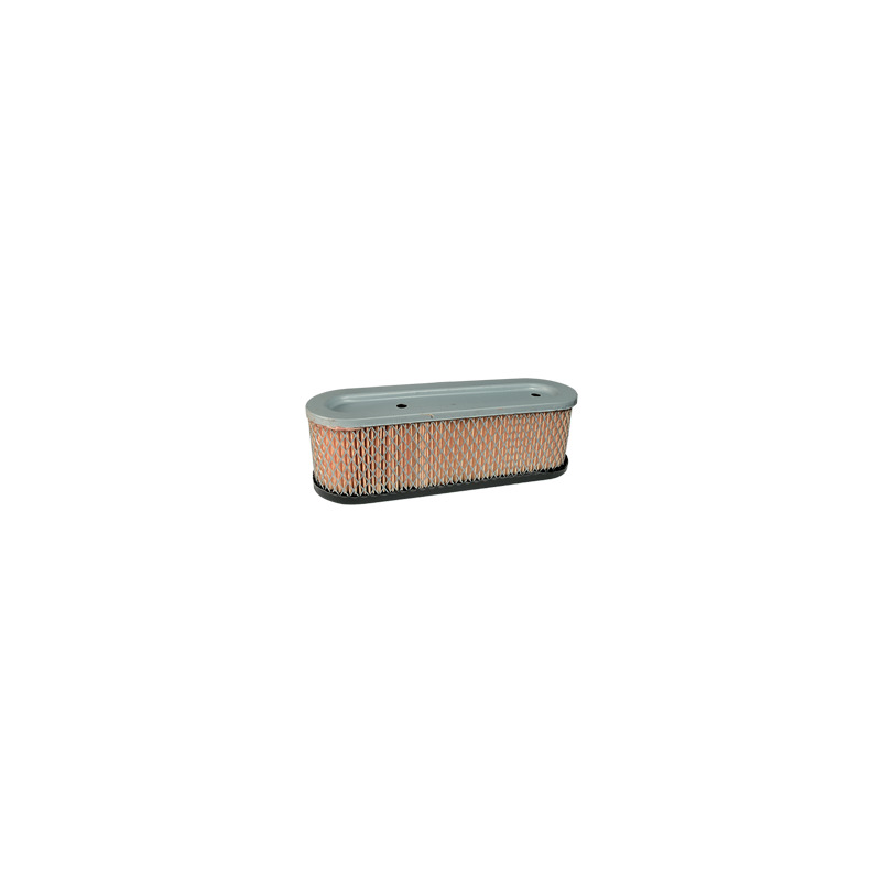 FILTROARIA X MOTORE ALBERO VERT. DA 10-12 HP I/C  