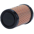 FILTRO ARIA X AVS 31  EX. 591334  (1X4243) - *** VEDI COD. 84012892 ***