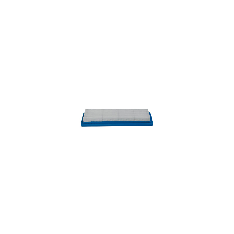 FILTRO ARIA  TECUMSEH 23410044 -  35500