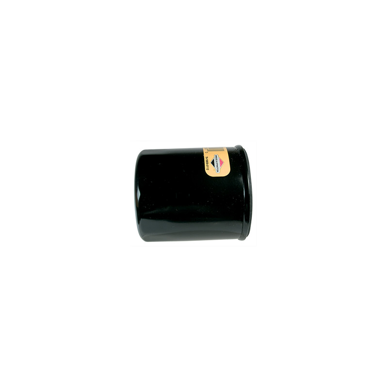 FILTRO OLIO PER INTEK VERTICALE FINO A 6,75HP