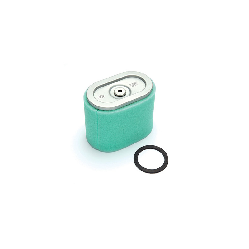 FILTRO X VANGUARD 8-10 HP