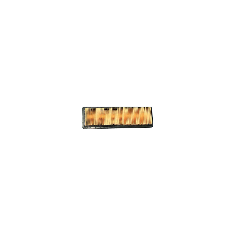 FILTRO ARIA  TECUMSEH 23410057