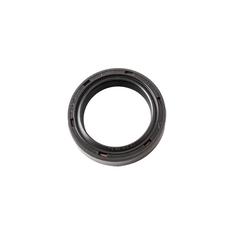 PARAOLIO BRIGGS & STRATTON PTO 303700
