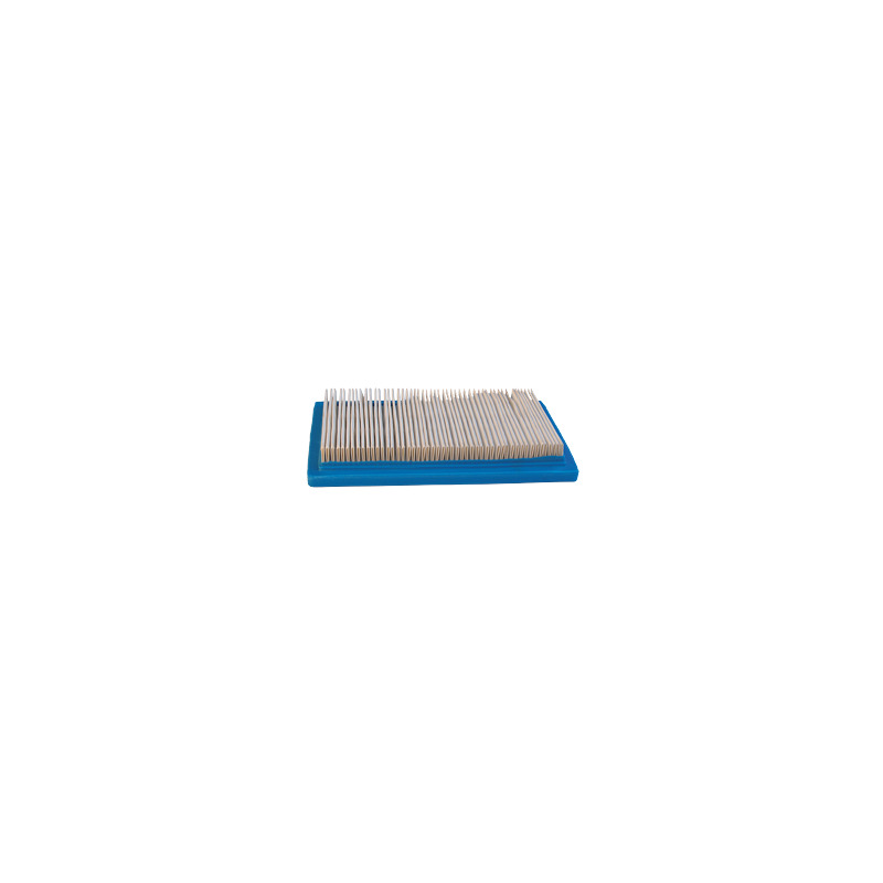 FILTRO ARIA LAWN BOY 613361
