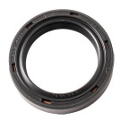 PARAOLIO BRIGGS & STRATTON PTO 303700