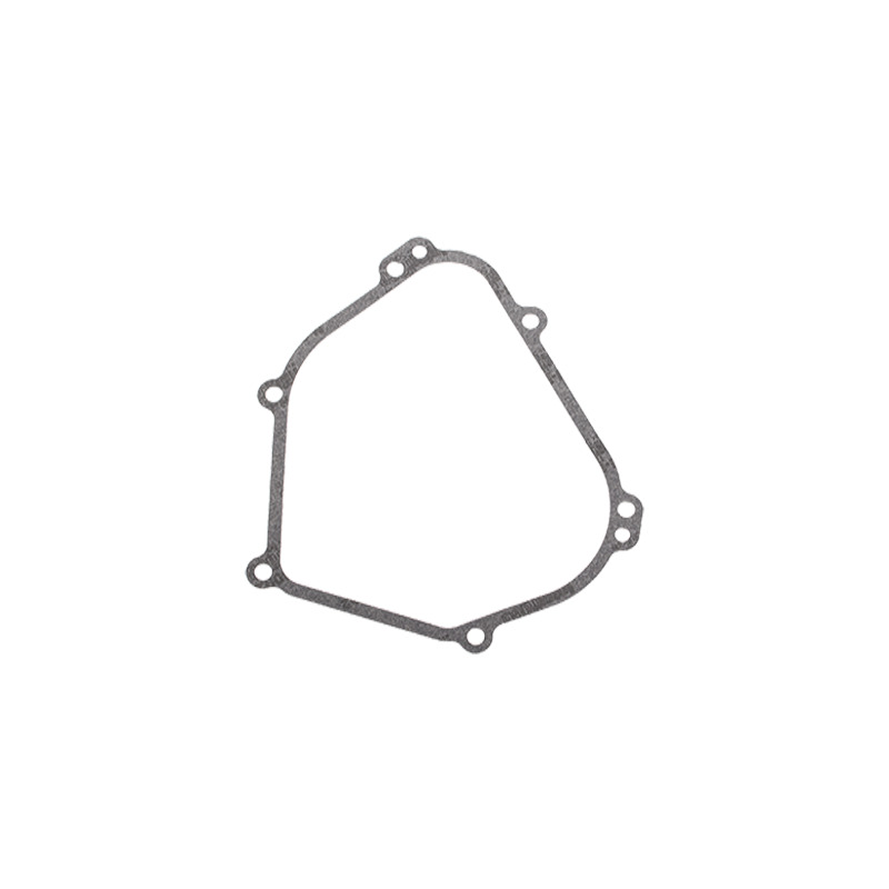 GUARNIZIONE BASE BRIGGS & STRATTON