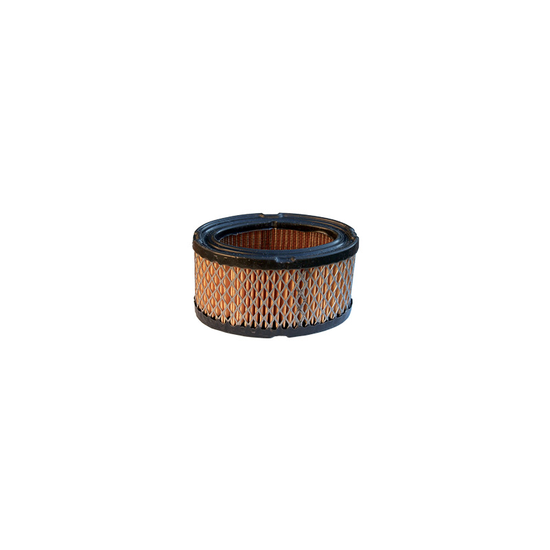 FILTRO ARIA TECUMSEH 33268