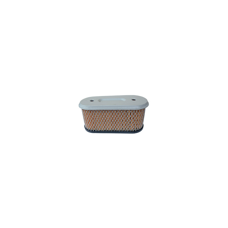 FILTRO ARIA PER VANGUARD 14 HP MONO VERT. SERIE 260700-261700