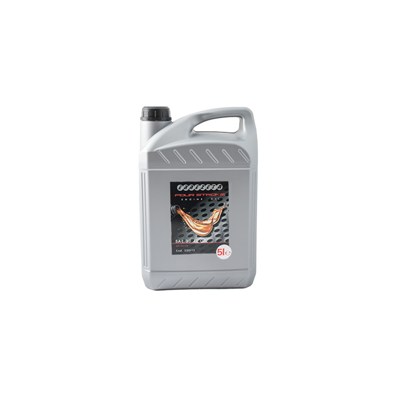 OLIO SAE 30 - 5 LT - 4T 